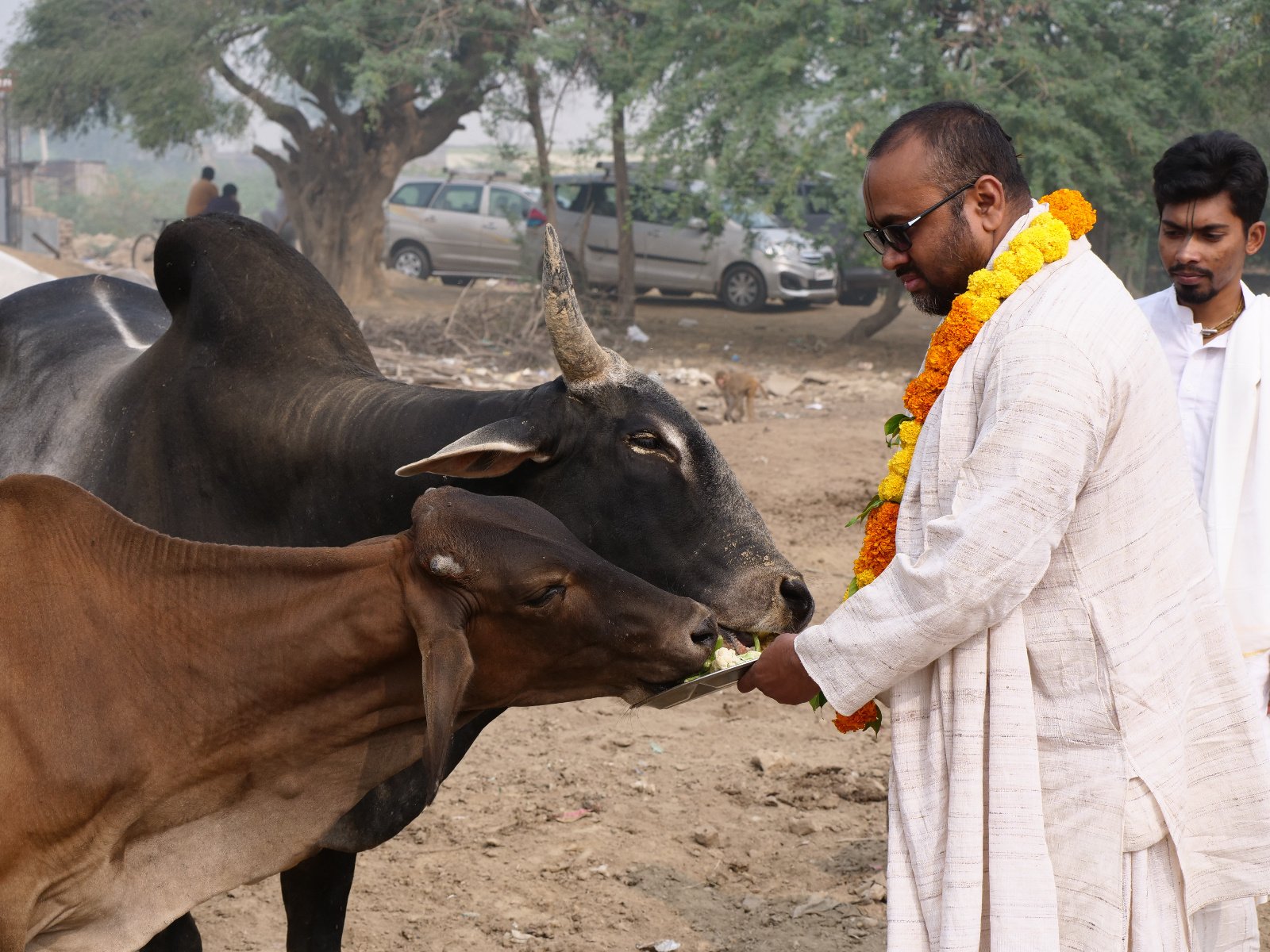  175 Gopashtami Radha kunda Govardhan 19.11.04